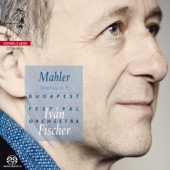 Mahler: Symphony No. 9 in D Major artwork