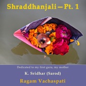 Shraddhanjali (Ragam Vachaspati), Pt. 1 artwork