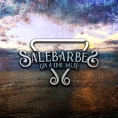 Salebarbes - Pourquoi t'es pas dans mes bras