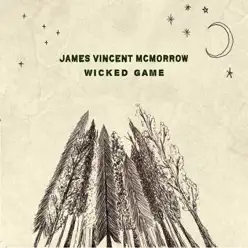 Wicked Game (Recorded Live at St Canice Cathedral, Kilkenny) - Single - James Vincent McMorrow