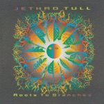 Jethro Tull - Rare and Precious Chain