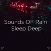 !!!" Sounds of Rain Sleep Deep "!!! album lyrics, reviews, download