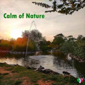 Calm of Nature artwork