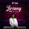 De Longe (feat. Liriany) - Single