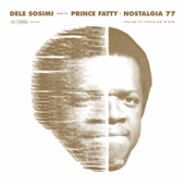 You No Fit Touch Am in Dub (feat. Prince Fatty & Nostalgia 77) - Dele Sosimi