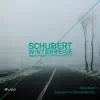 Stream & download Schubert: Winterreise (Transcription for Baritone and String Quartet)