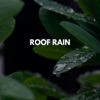 Roof Rain