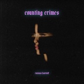 counting crimes artwork