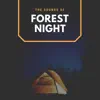 Stream & download The Sounds of Forest Night - Single