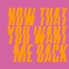 Now That You Want Me Back - EP