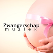 Zwangerschap Muziek: de beste achtergrondmuziek voor baby's, kinderen, pasgeborenen en zwangere moeders artwork