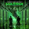 Matrix (Fixion Remix) [feat. Jimmy Levy] song lyrics
