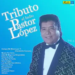 Tributo al Indio Pastor López, Vol. 3 by Pastor Lopez y Su Combo album reviews, ratings, credits