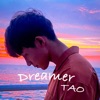 Dreamer - Single