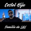 Familie de lux - Single