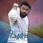 Pidivaatham (Acoustic Version) artwork