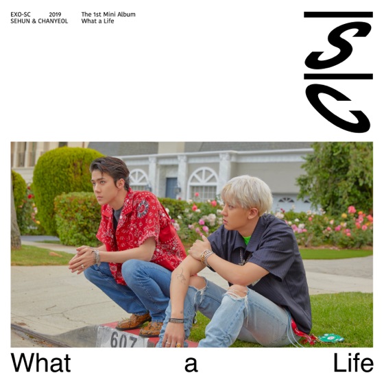 Cover artwork for What a life