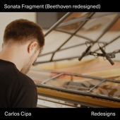 Sonata Fragment (Beethoven redesigned) artwork
