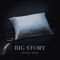 Losing Sleep - Big Story lyrics