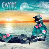 Owane - Rock Is Too Heavy