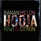 Banan Melon Kiwi & Citron artwork