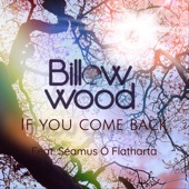 If You Come Back (feat. Séamus Ó Flatharta) artwork