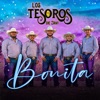 Bonita by Los Tesoros de Javi iTunes Track 1