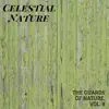 Celestial Nature - The Guards of Nature, Vol. 8 album lyrics, reviews, download