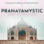 Pranayamystic (Deep Visions Mix) artwork