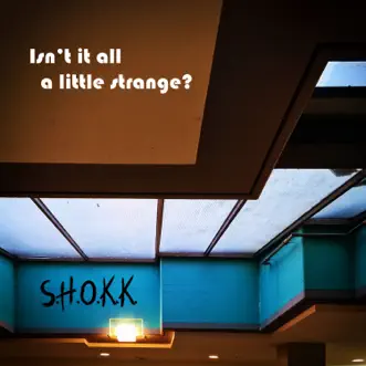 Isn't It All a Little Strange? (Krazy Nut Mix) by S.H.O.K.K. song reviws