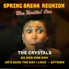 Spring Break Reunion: The Rockin' Era - Live - Single album lyrics, reviews, download