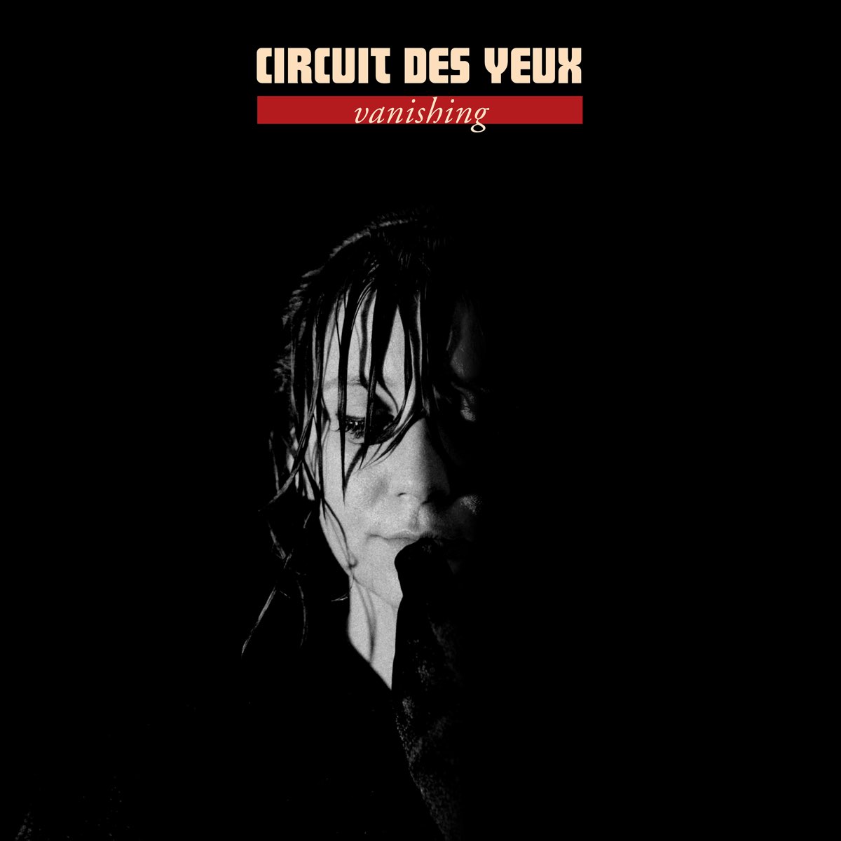 Circuit Des Yeuxの Vanishing Single をapple Musicで