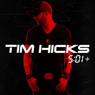 Album herunterladen Tim Hicks - 501