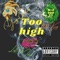 Too High (feat. Lost Mind & 800 King) - Yung N Goated lyrics
