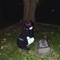 Darkwave Sabbat - Siouxxie lyrics