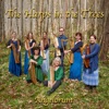 Angelorum - the Harps in the Trees, 2017