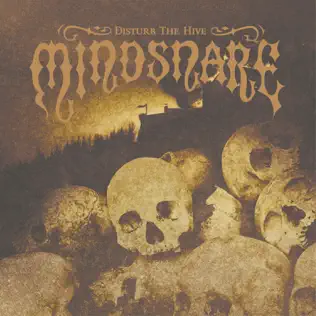lataa albumi Mindsnare - Disturb The Hive