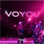 Voyou artwork