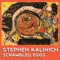 15th Level (feat. Frank Black) - Stephen Kalinich lyrics