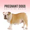 Pregnant Dogs - Soothing Music for Better Sleep, Less Anxious, Soothe Your Pet, Calm Childbirth album lyrics, reviews, download