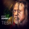 Mali Tiega Dub (Remix By Tim Ray Brown) - Koko Dembele lyrics