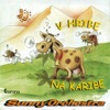 Sunny Orchestra - Na karibe