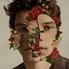 Shawn Mendes album lyrics, reviews, download