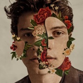 Shawn Mendes - Lost In Japan