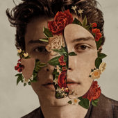 Shawn Mendes - Like To Be You (feat. Julia Michaels) Lyrics