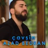 Çavşîn - Single