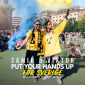 Put Your Hands Up för Sverige (feat. Anis Don Demina) artwork