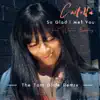 So Glad I Met You (The Tom Glide Remix) [Radio Edit] - Single [feat. Willie Bradley] - Single album lyrics, reviews, download