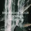 !!!" Bruit Blanc Pour Le Sommeil Profond "!!! album lyrics, reviews, download