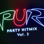 Party Hit Mix (Lange Version) artwork